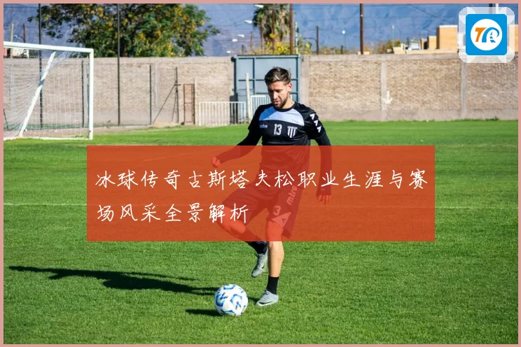 冰球传奇古斯塔夫松职业生涯与赛场风采全景解析