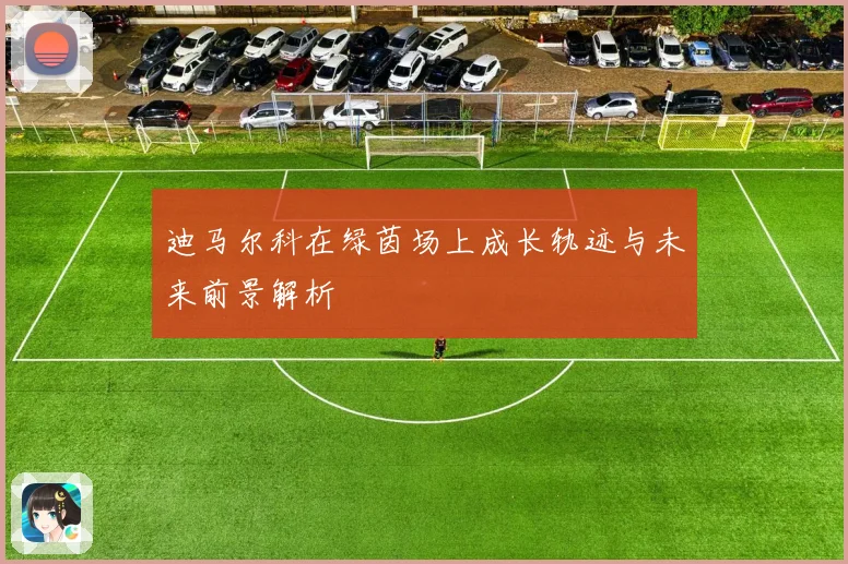 迪马尔科在绿茵场上成长轨迹与未来前景解析