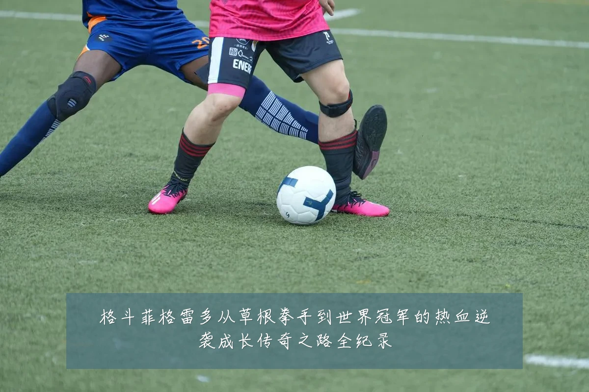 格斗菲格雷多从草根拳手到世界冠军的热血逆袭成长传奇之路全纪录