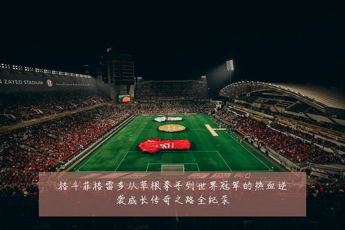 格斗菲格雷多从草根拳手到世界冠军的热血逆袭成长传奇之路全纪录