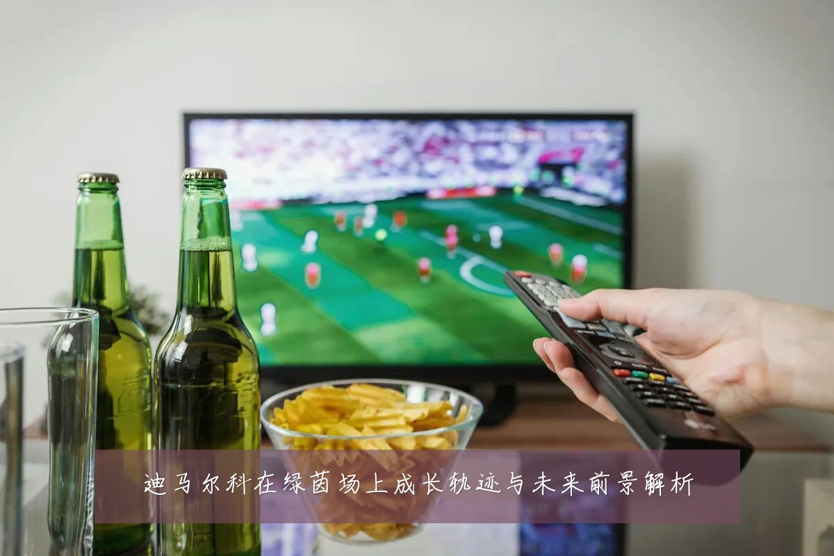迪马尔科在绿茵场上成长轨迹与未来前景解析
